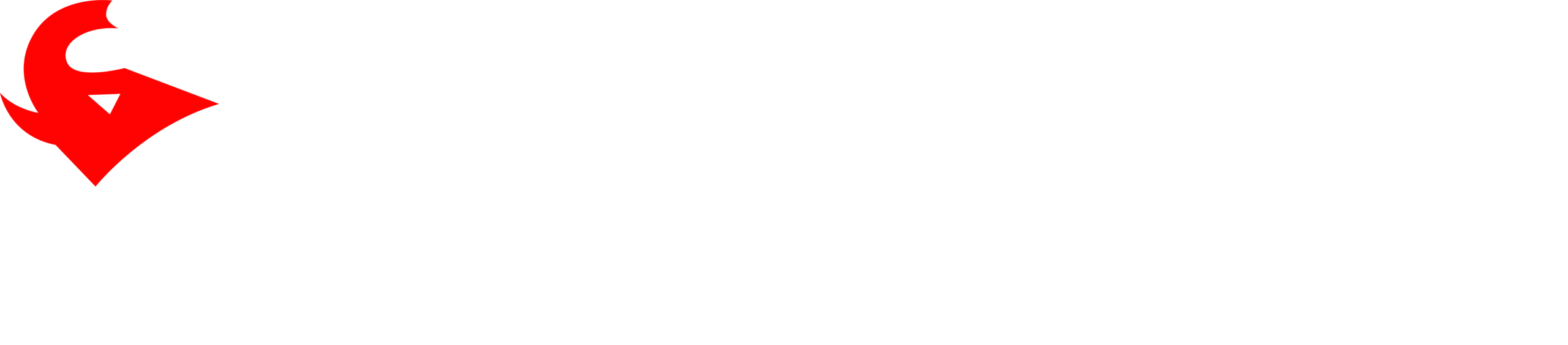 PSI Sulawesi Tenggara