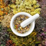 40 Jenis Tanaman Obat dan Gambarnya_ Panduan Lengkap untuk Kesehatan Alami