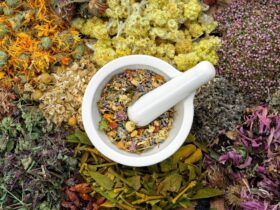 40 Jenis Tanaman Obat dan Gambarnya_ Panduan Lengkap untuk Kesehatan Alami