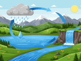 Siklus Air dan Penjelasannya Proses Alami yang Menjaga Kehidupan di Bumi