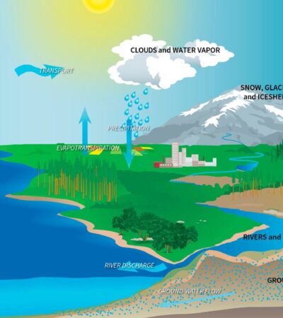 Memahami Daur Fosfor Proses Alam yang Penting untuk Kehidupan