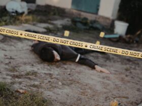 Memahami Kriminalitas di Indonesia Statistik, Penyebab, Dampak, dan Cara Pencegahan