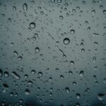 Embun: Proses Terbentuk, Manfaat, dan Fakta Ilmiah yang Jarang Diketahui