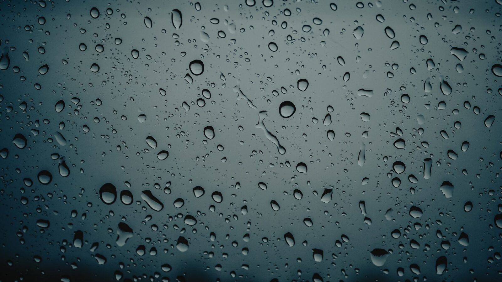 Embun: Proses Terbentuk, Manfaat, dan Fakta Ilmiah yang Jarang Diketahui