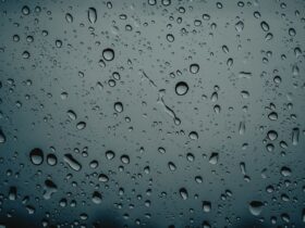 Embun: Proses Terbentuk, Manfaat, dan Fakta Ilmiah yang Jarang Diketahui