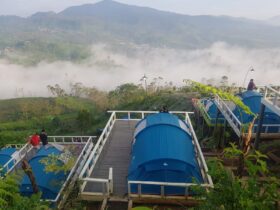 Taman Langit: Pesona Wisata Alam di Ketinggian yang Wajib Dikunjungi