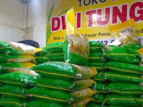 Harga Beras 5 Kg di Indonesia Update Terbaru dan Panduan Praktis