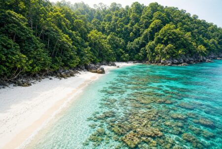 Pulau Rubiah Destinasi Wisata Tersembunyi yang Indah di Aceh